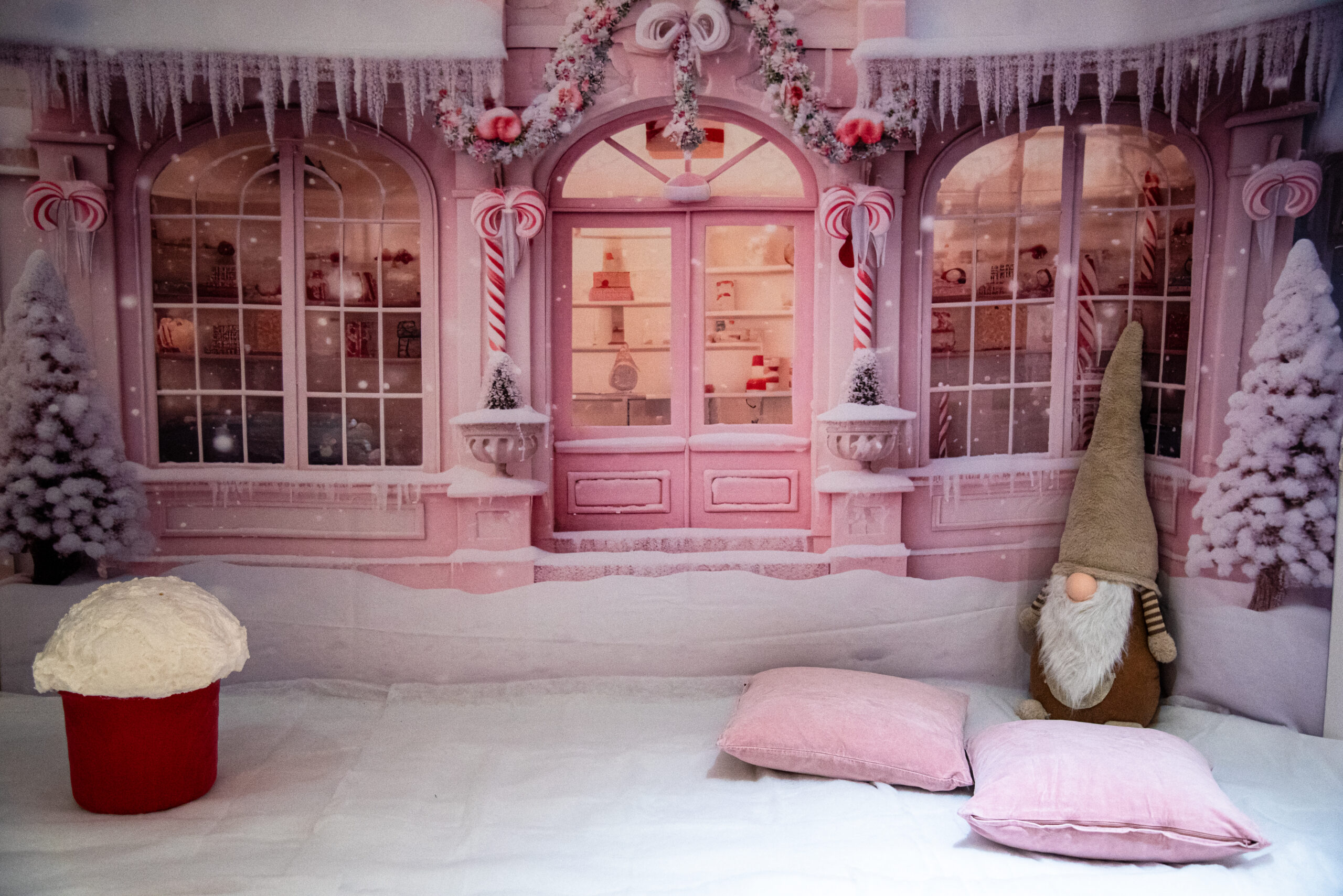 Decor Noel 2024